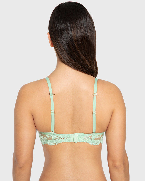 Hs Pu Pl B Smooth Cup With Opulent Lace Hemlock / 34B