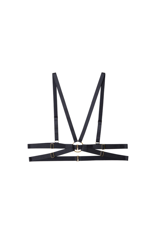 Playful Promises Aneta & Gold Elastic Body Harness