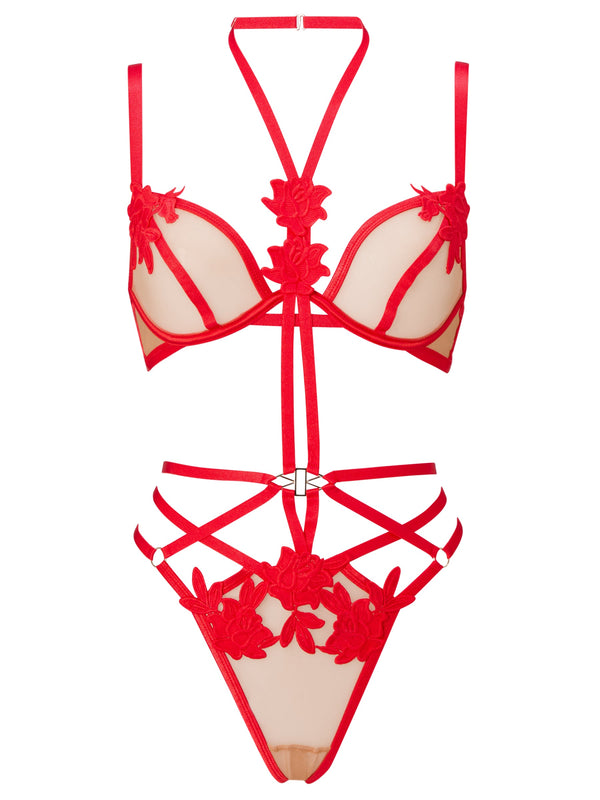 Ann Summers Erotic Bodysuits